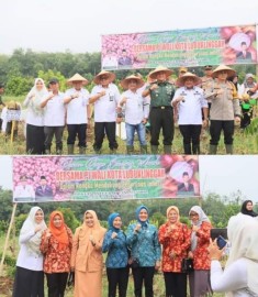 Pj Wali Kota H. Trisko Defriyansa bersama Forkopimda menghadiri acara Panen Raya Bawang Merah