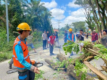 Pemerintah, Polres dan Masyarakat Muratara Dukung PLN ULP Muratara, Lakukan Giat Right Of Ways (ROW) Bersama Hingga Sosialisasi Kelistrikan